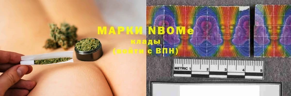 амф Верея