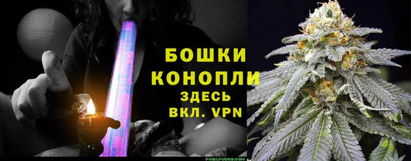амф Верея