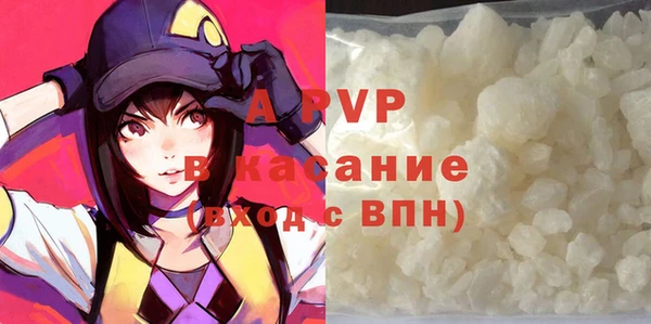 амф Верея