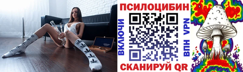 Псилоцибиновые грибы Psilocybe  наркошоп  гидра онион  Мезень 