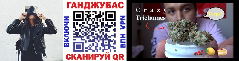 Каннабис сатива  Мезень 